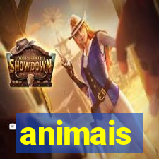 animais-pg.com