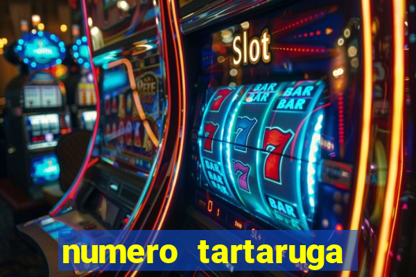 numero tartaruga jogo do bicho