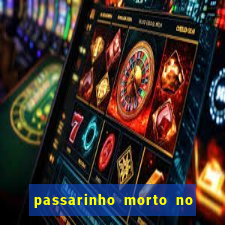 passarinho morto no quintal significado espiritual