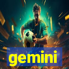 gemini-pp.com